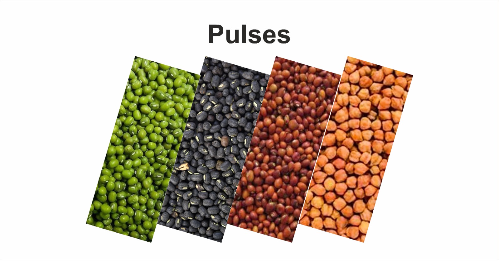 Oilseeds & Pulses